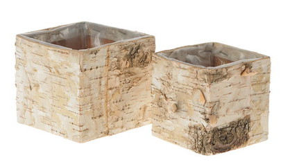 Bac cube écorce de bouleau GM