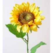 Tournesol Jaune artificiel