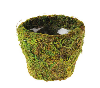 Pot mousse naturelle Mini