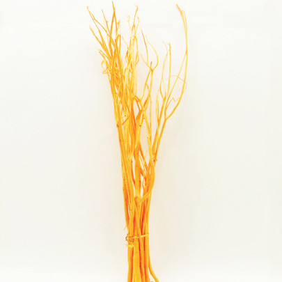 Mitsumata Orange botte