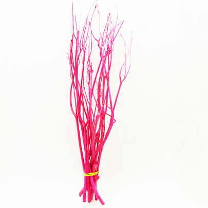 Mitsumata Fuchsia botte