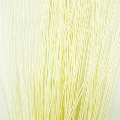 Rotin rond botte Ivoire