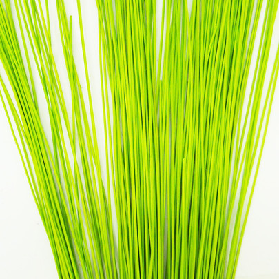 Rotin rond botte Vert anis