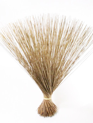 Botte de Mikado 75 cm naturel x 10