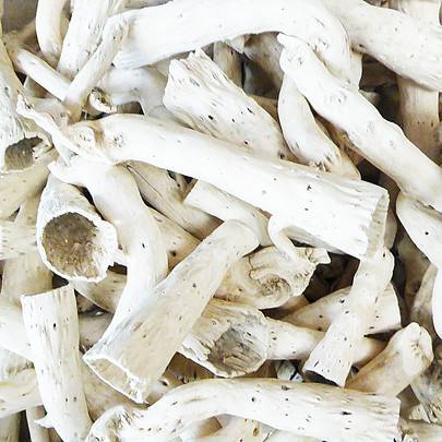 Pepe cone blanchi par 5 pièces