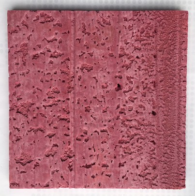 Plaque de croûte de mousse OASIS couleur Fushia 