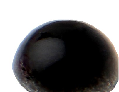 Sticker en perle NOIR par 60 pièces