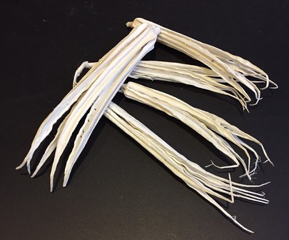 Okra séchée Blanchi par 5 pièces