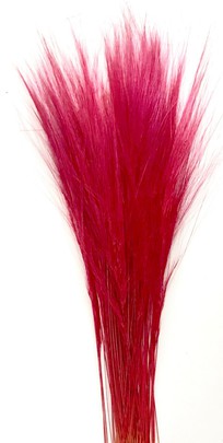 Barba stabilisé rose