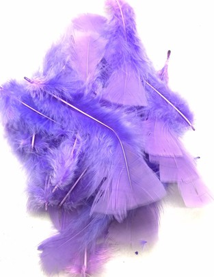 Plume colorée Lilas parme