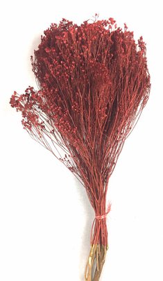 Balai Bloom Rouge