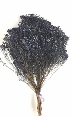 Balai Bloom Violet