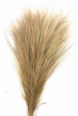 Barba stabilisé naturel