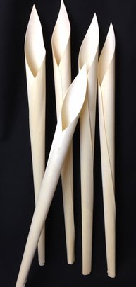 Cone Feuille de Bois 