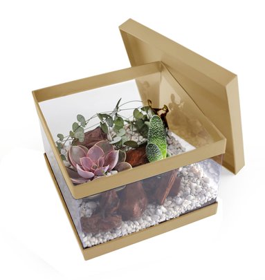 Boite à Chapeau Carrée Transparente Kraft GM