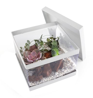 Boite à Chapeau Blanche Carrée Transparente GM