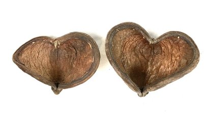 Badam naturel séché par 2