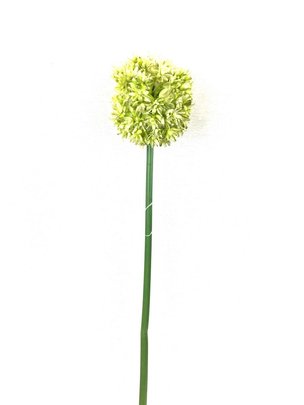Allium Natasja Vert artificiel x 1