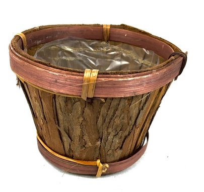 CONTENANT ECORCE SAPIN