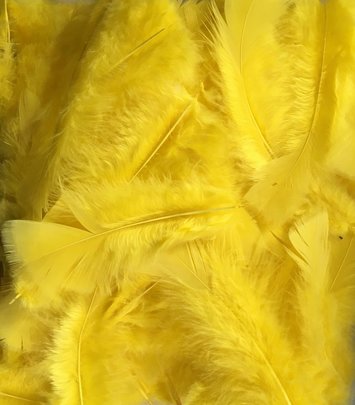 Plume colorée jaune