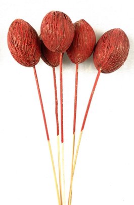 Mintolla sur pique Rouge Pailleté x 5