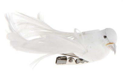 Petit Oiseau Blanc sur Clip x 4