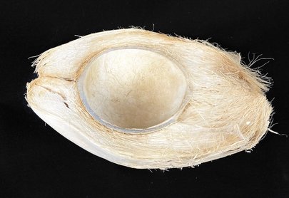 Vase demi noix de coco blanche