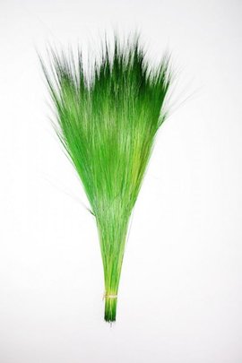 Barba stabilisé vert 