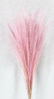 Barba stabilisé rose clair