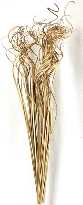 Curly tige botte couleur naturelle 