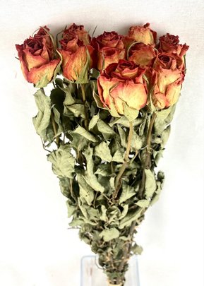 Bouquet de 10 roses orangées séchées.