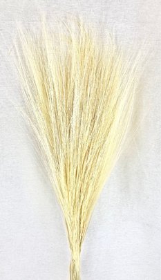 Barba stabilisé blanc