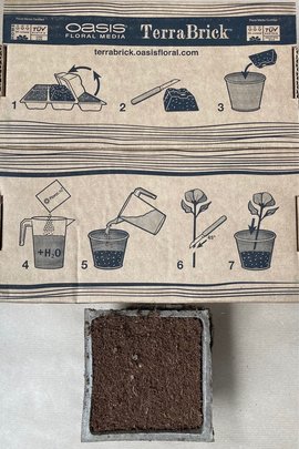 Terra Brick ( brique ) OASIS x 1