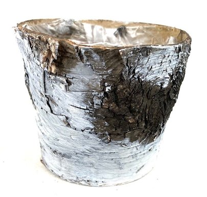 Cache pot écorce bouleau GM