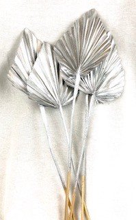 Feuille de palmier argent sur tige naturelle par 1