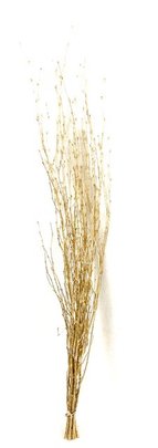 1 Botte branches de bouleau or mate.