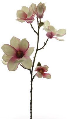 Magnolia blanc avec coeur rose/jaune artificiel.