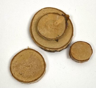 Rondelles de bois par 4