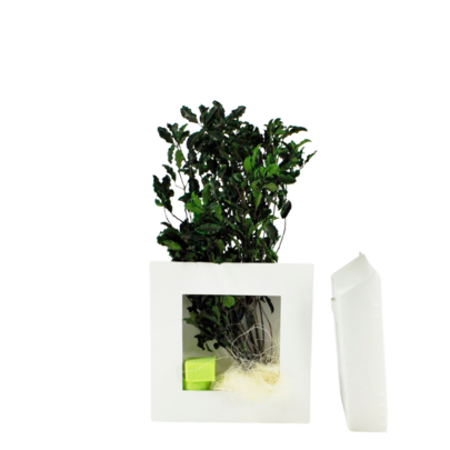 Cadre végétal carré à garnir coloris Blanc.