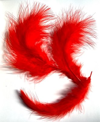 Plume colorée Rouge 
