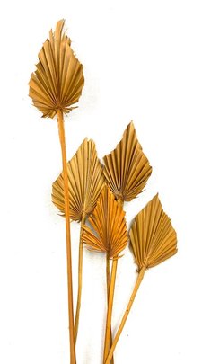 Feuille de palmier sur tige Cognac x 5