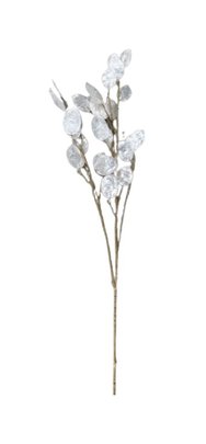 Monnaie du pape ( lunaria ) artificiel x1 branche.