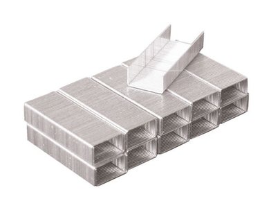 Agrafes pour agrafeuse OASIS x 1000 pièces