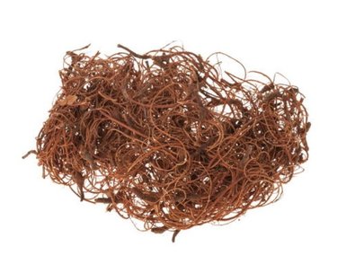 Mousse curly marron.
