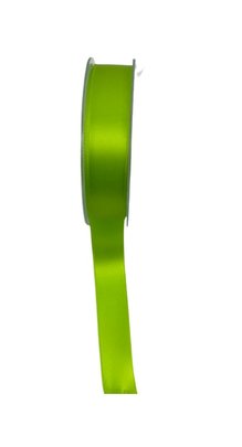 Ruban Vert anis polyester x 2 M