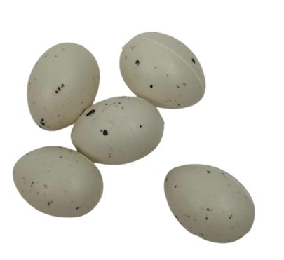 Petits Oeufs tachetés x 5
