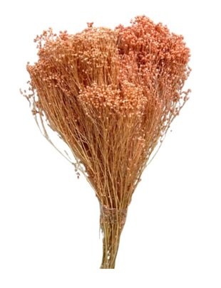 Balai Bloom Rose Saumon.