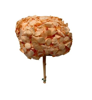 Hortensia stabilisé coloris Saumon.