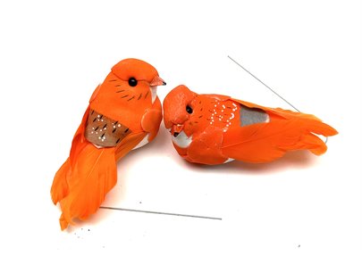 Oiseaux orange sur pique x2