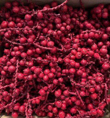 Fruits de cannelle .